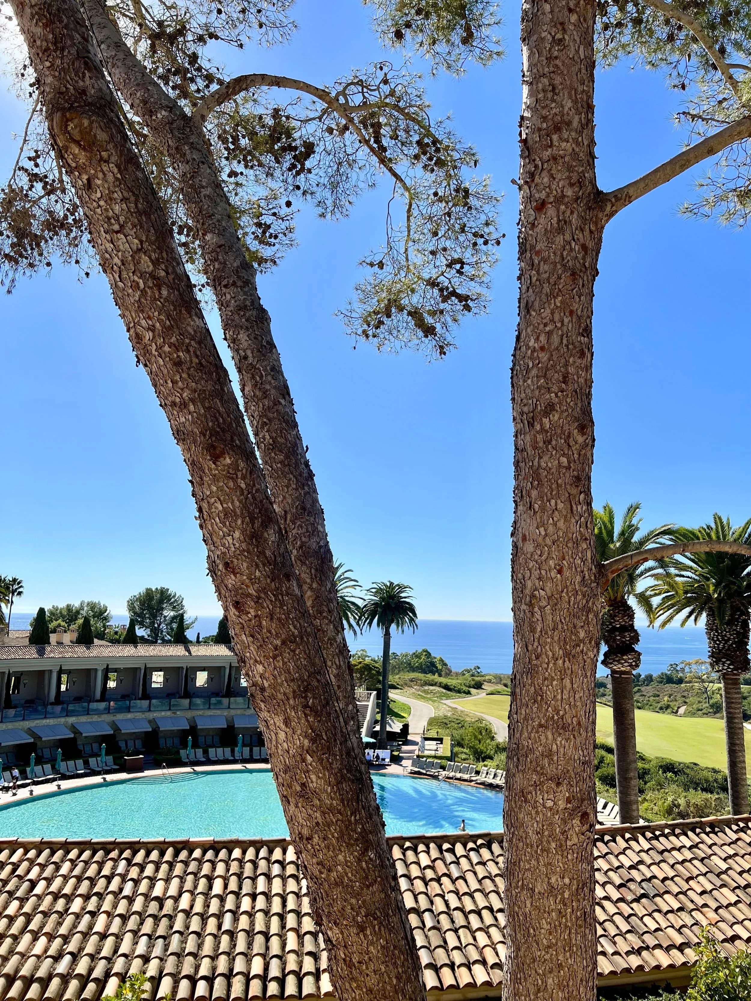 Pelican Hill Resort | Newport Beach, CA: Review